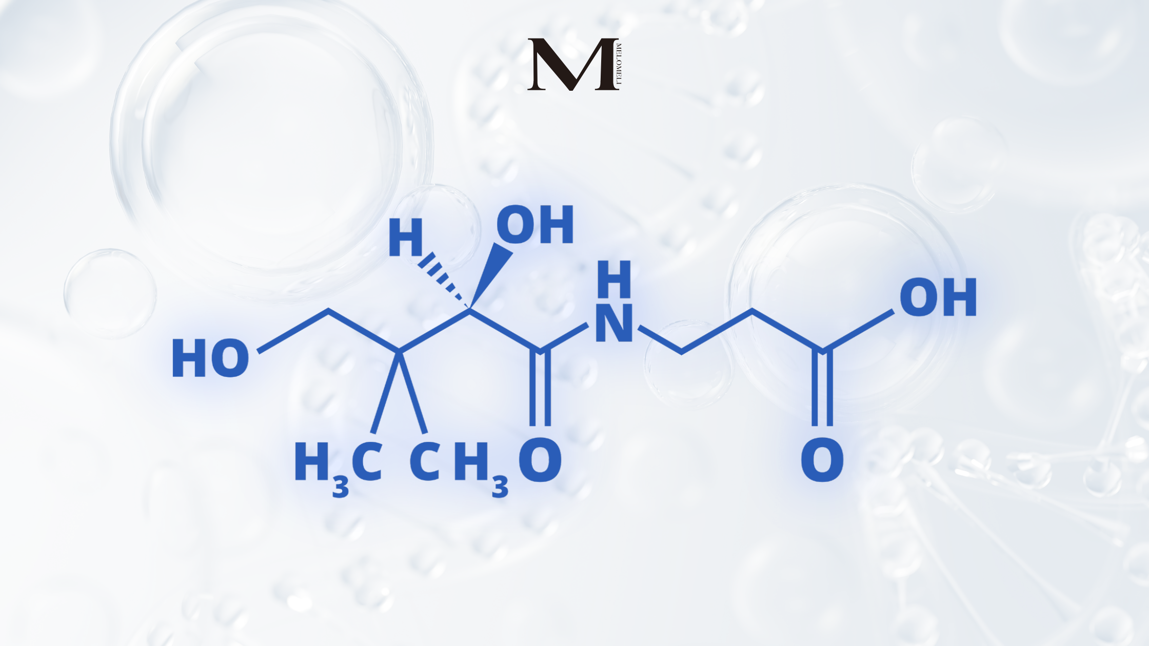 Vitamin B5 trong MELOMELI